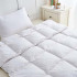 Swiss Daunen Exquisite  Duvet